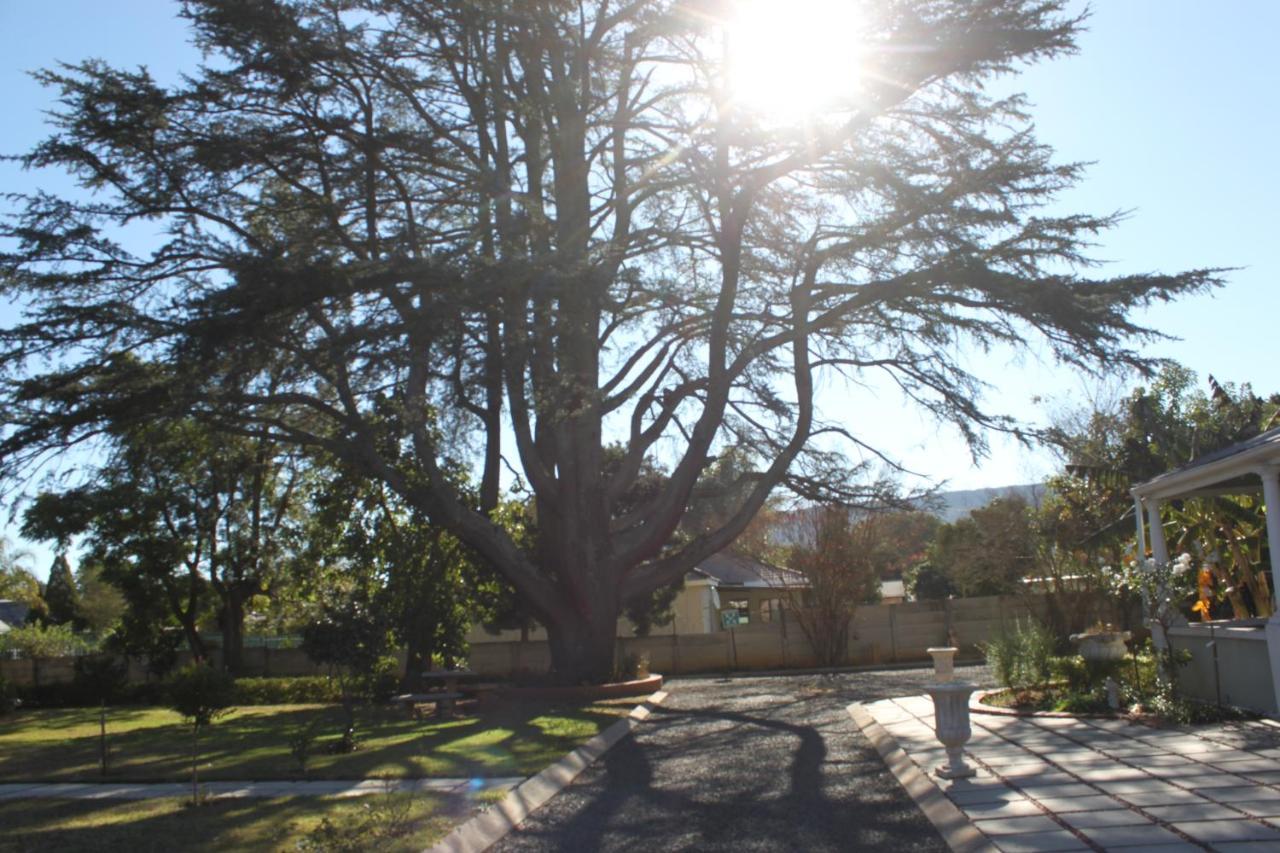 Khaya4U Guesthouse Dundee Bagian luar foto